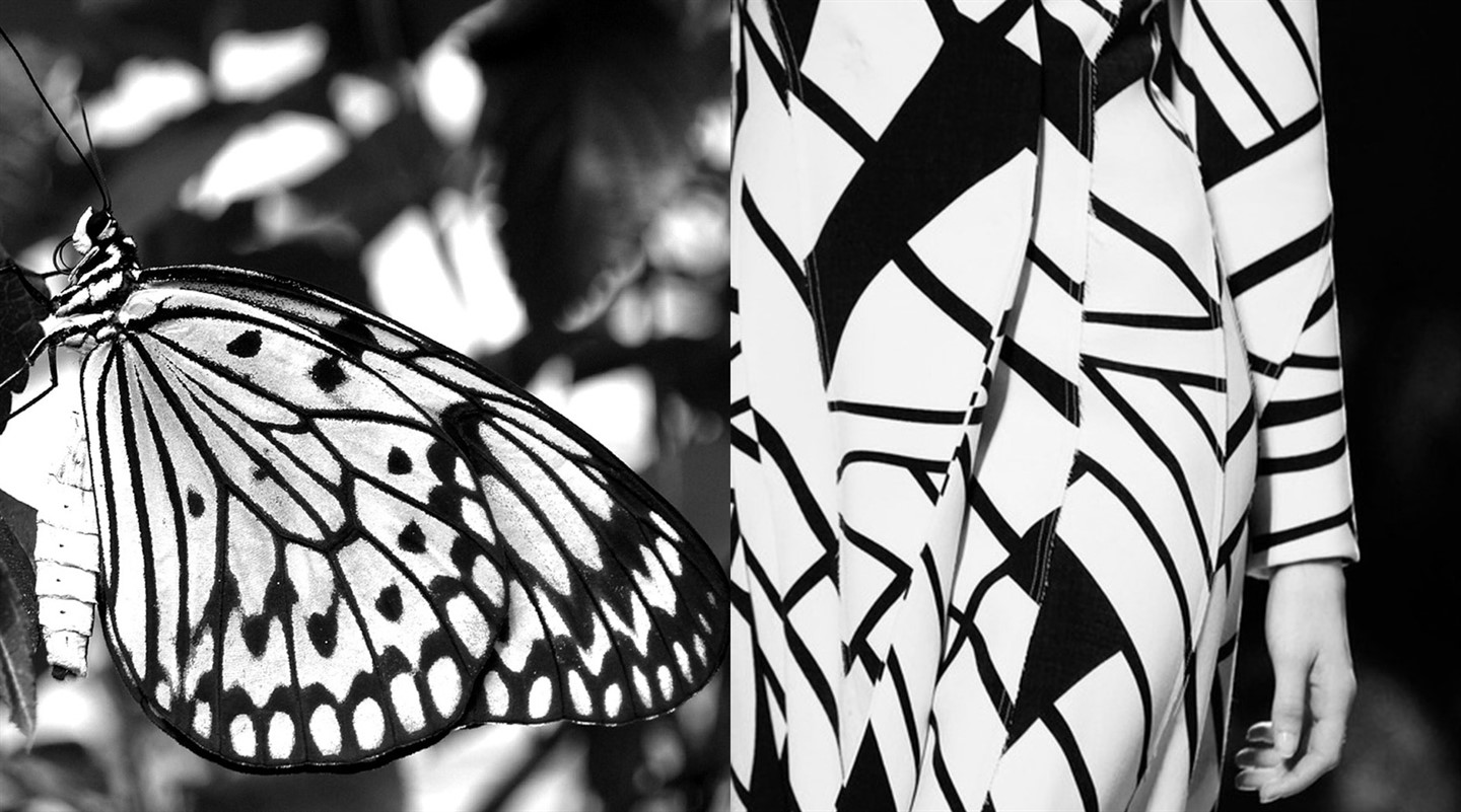 Patternity Custom Decoration Patternity Custom Decoration